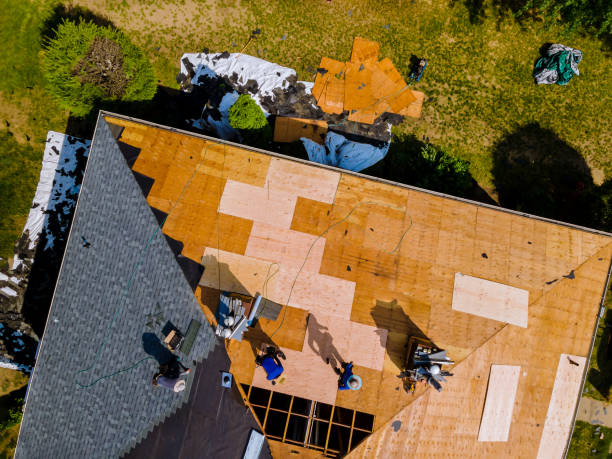Best Storm Damage Roof Repair  in Lamar, TX