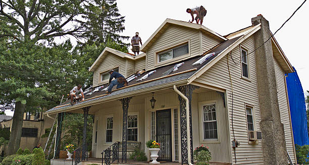 Best Residential Roofing Contractor  in Lamar, TX
